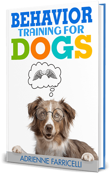 Brain Training For Dogs Free Bonus